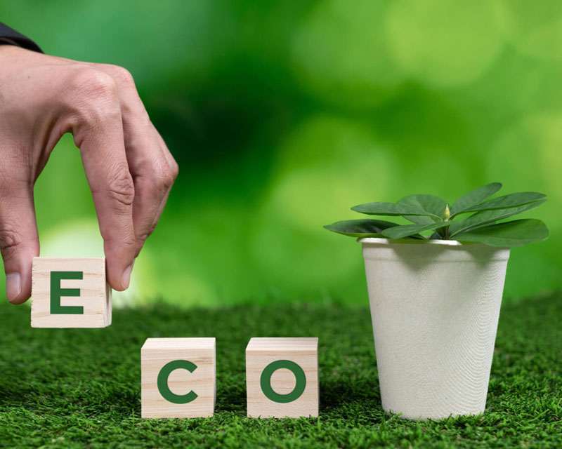 Environmentally Friendly Coatings Market Size Achieves 6.3% Y-o-Y Growth!