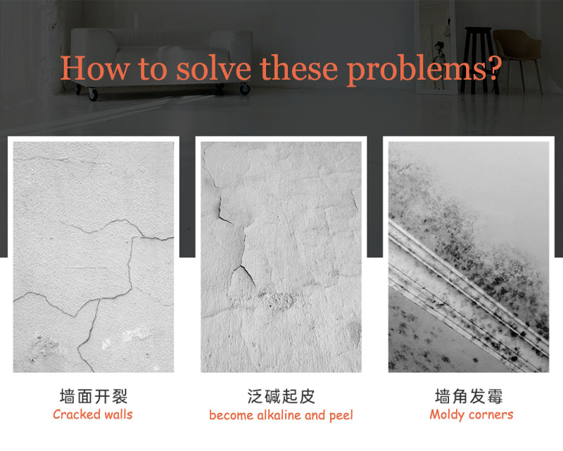Inorganic Coatings – Safeguarding Walls from Mold Infestation